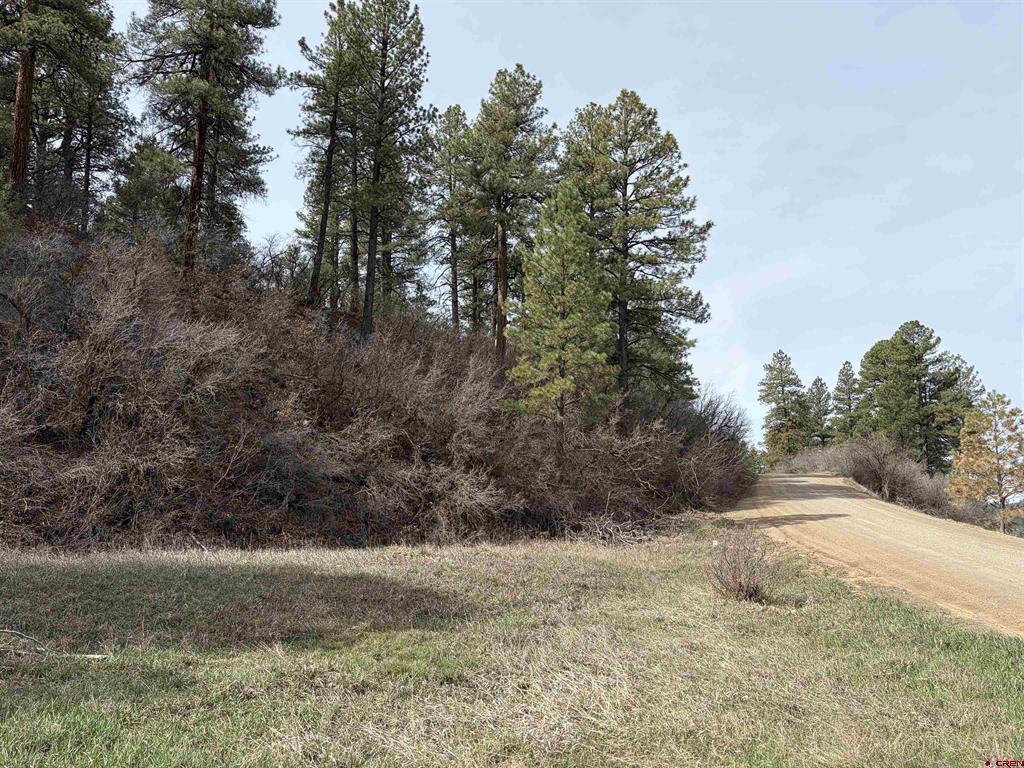 267 River Run Drive Pagosa Springs CO 81147