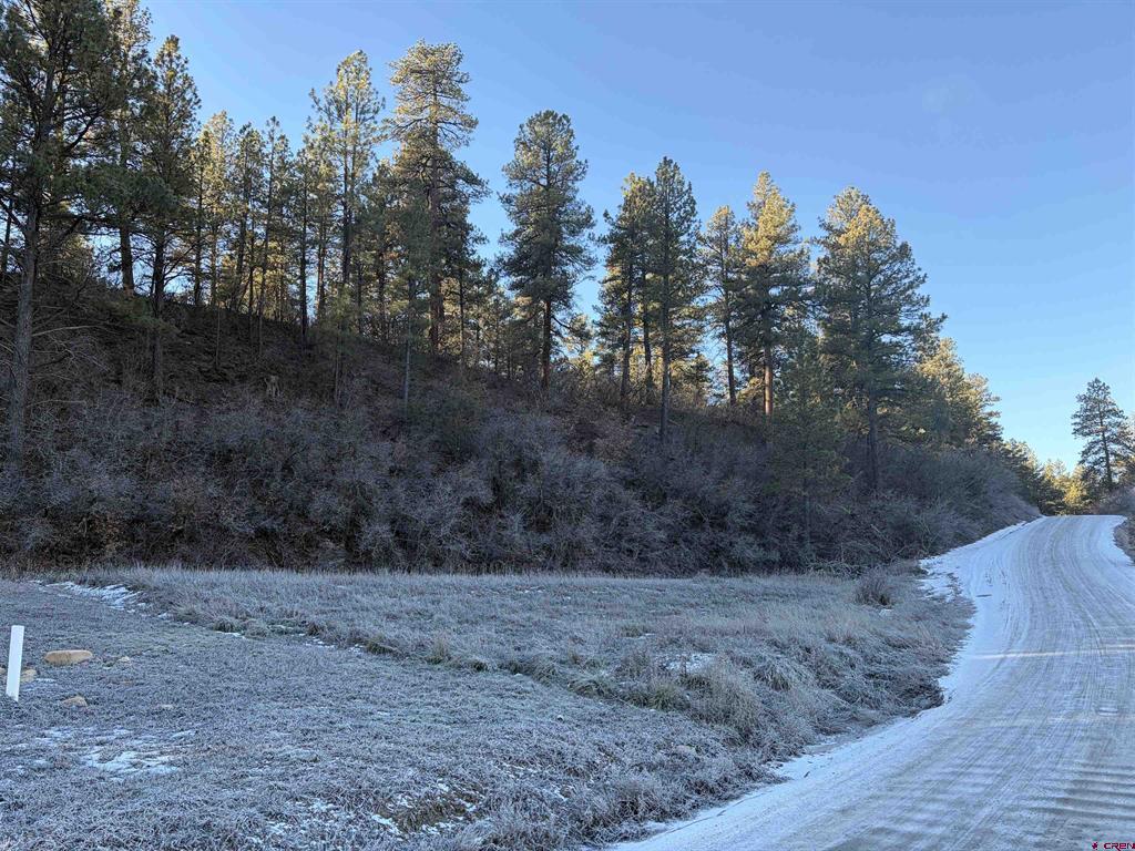 267 River Run Drive Pagosa Springs CO 81147
