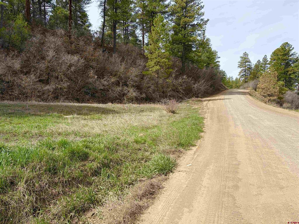 267 River Run Drive Pagosa Springs CO 81147