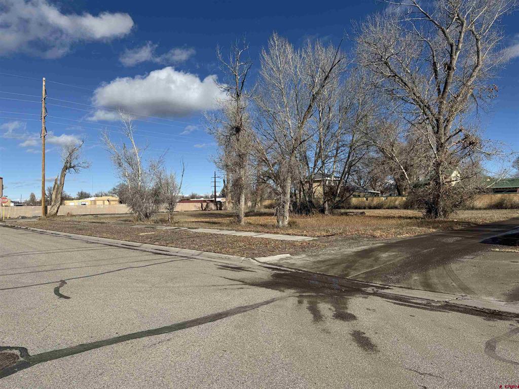 Tbd Seventh Street Alamosa CO 81101