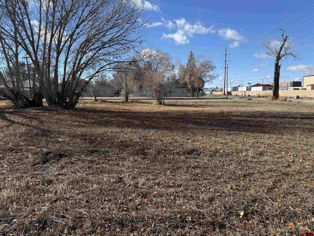 Tbd Seventh Street Alamosa CO 81101