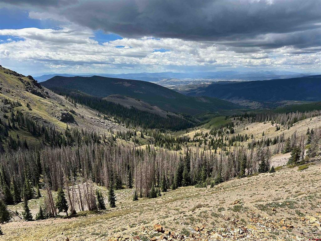 Wonder Dream Sawmill Gulch Road Saguache CO 81149