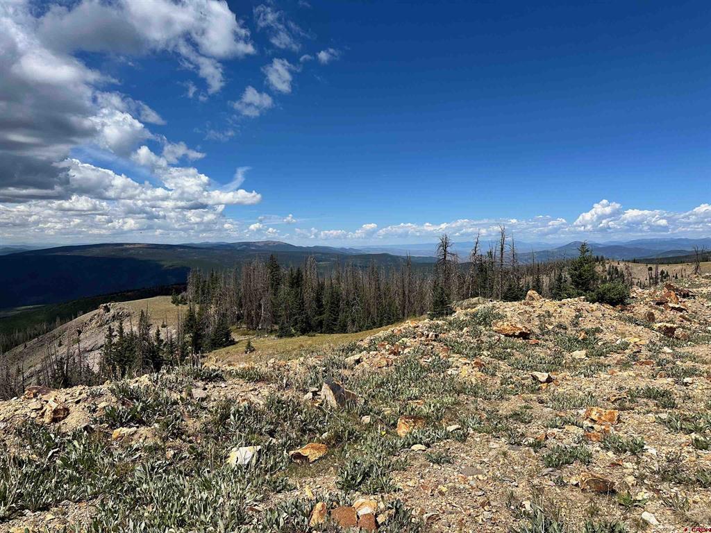 Wonder Dream Sawmill Gulch Road Saguache CO 81149