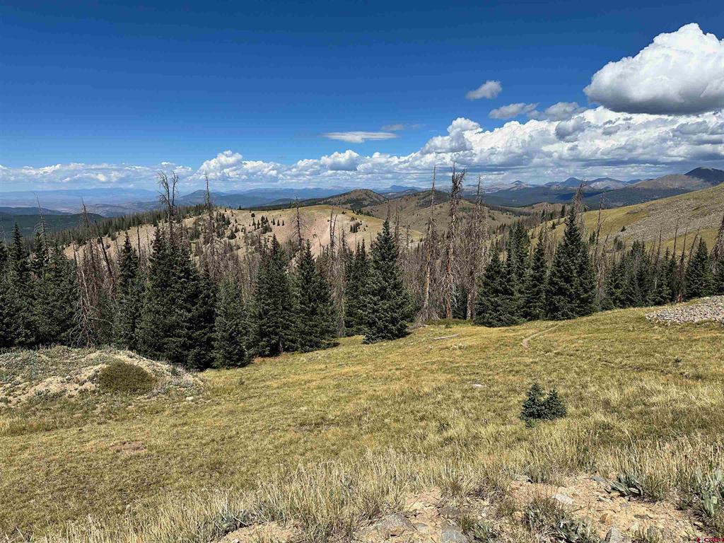 Wonder Dream Sawmill Gulch Road Saguache CO 81149