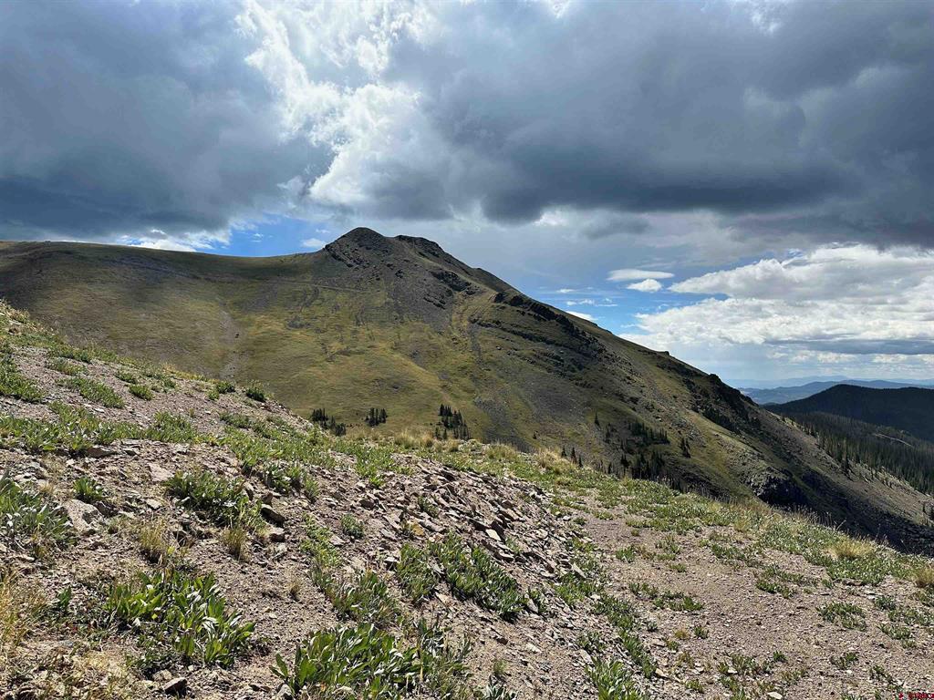 Wonder Dream Sawmill Gulch Road Saguache CO 81149