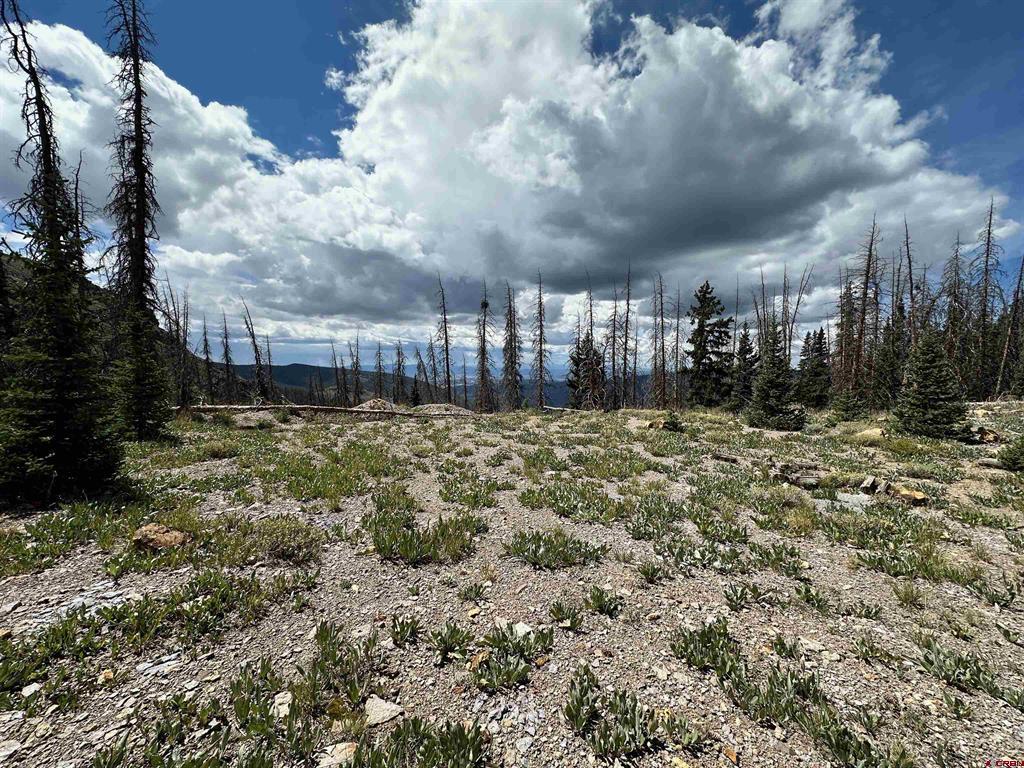 Wonder Dream Sawmill Gulch Road Saguache CO 81149