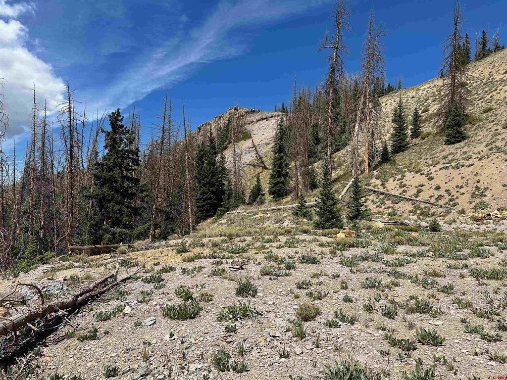 Wonder Dream Sawmill Gulch Road Saguache CO 81149