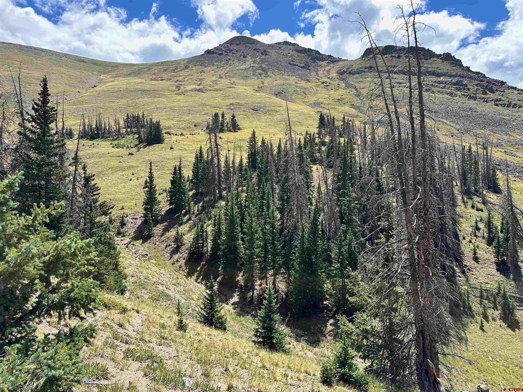 Wonder Dream Sawmill Gulch Road Saguache CO 81149