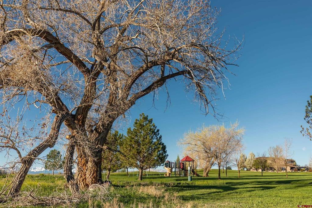 Lot 38-a Mocha Court Montrose CO 81401