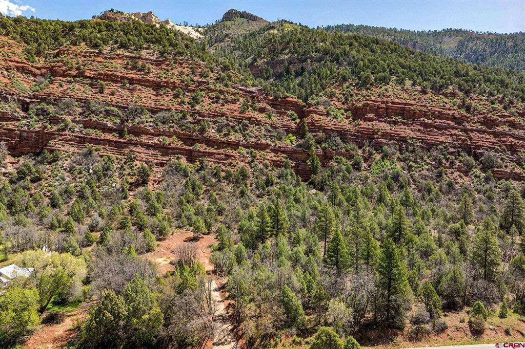3458 County Road 250 Durango CO 81301