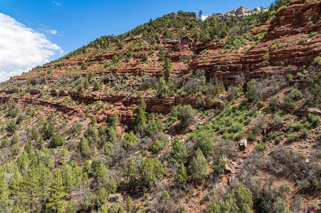 3458 County Road 250 Durango CO 81301