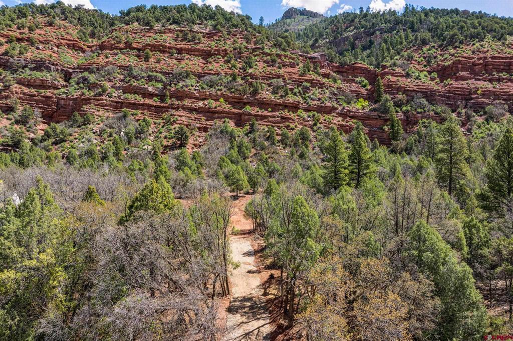 3458 County Road 250 Durango CO 81301