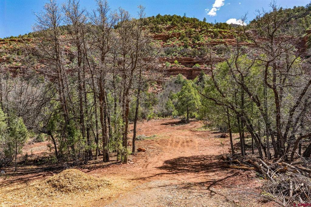 3458 County Road 250 Durango CO 81301