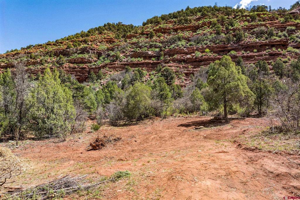 3458 County Road 250 Durango CO 81301