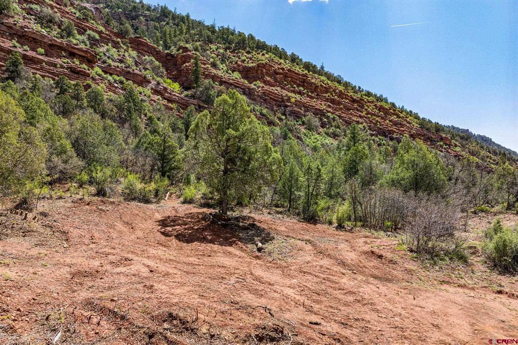 3458 County Road 250 Durango CO 81301