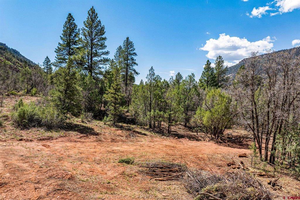 3458 County Road 250 Durango CO 81301