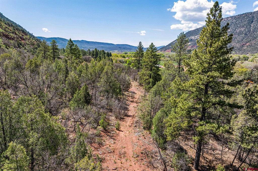 3458 County Road 250 Durango CO 81301