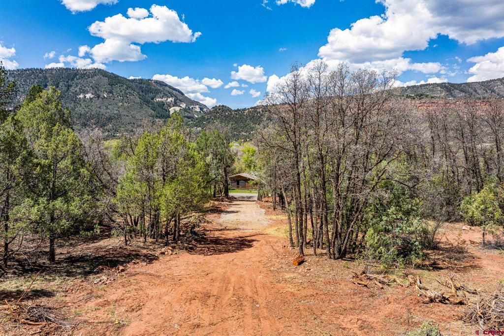 3458 County Road 250 Durango CO 81301