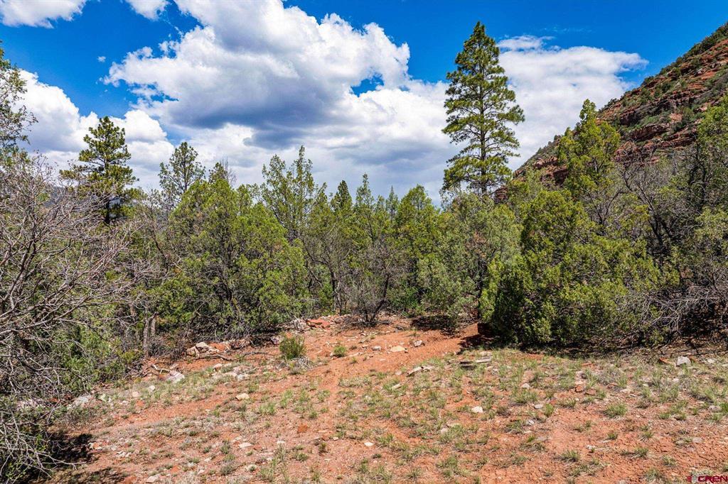 3458 County Road 250 Durango CO 81301
