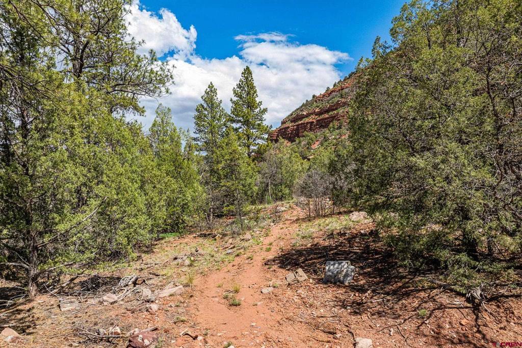 3458 County Road 250 Durango CO 81301