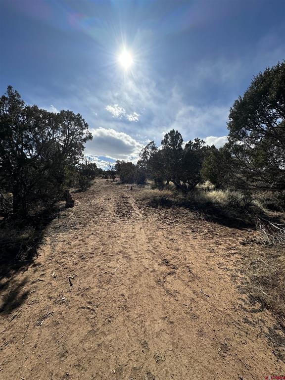 Tbd Happy Canyon Road Montrose CO 81401