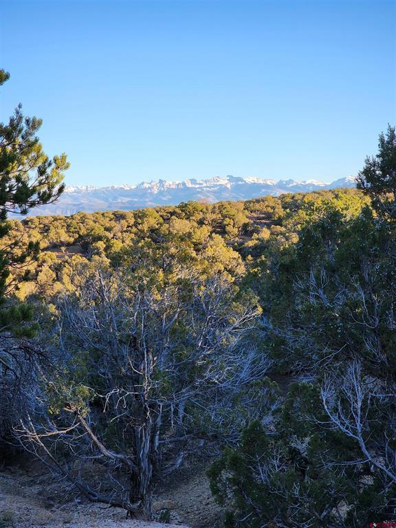Tbd Happy Canyon Road Montrose CO 81401