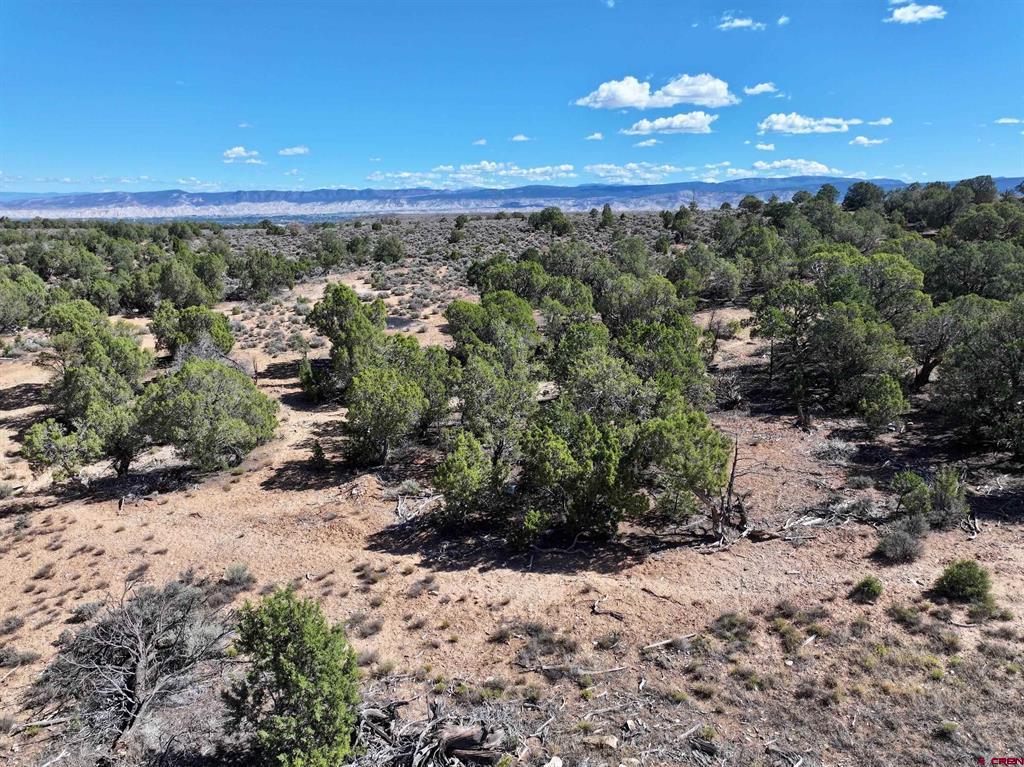 Tbd Happy Canyon Road Montrose CO 81401