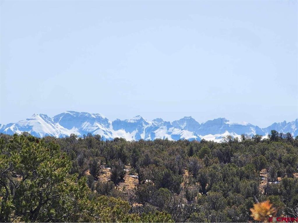 Tbd Happy Canyon Road Montrose CO 81401