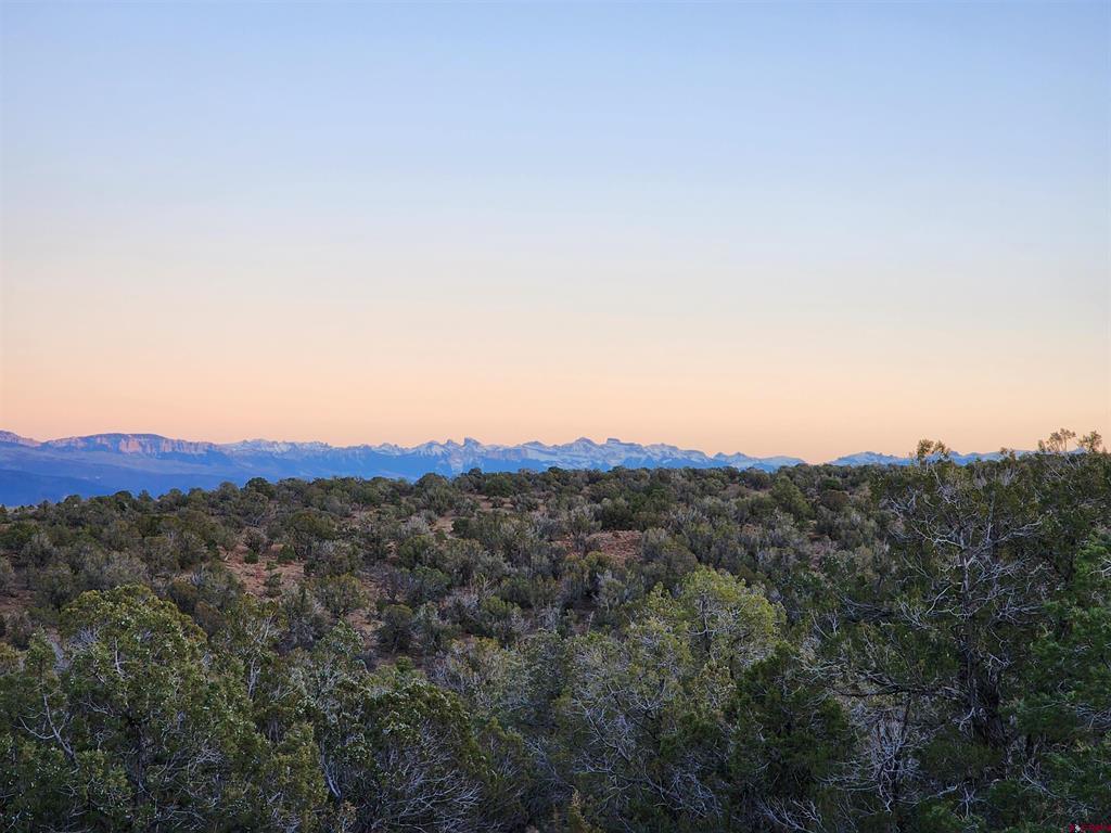 Tbd Happy Canyon Road Montrose CO 81401