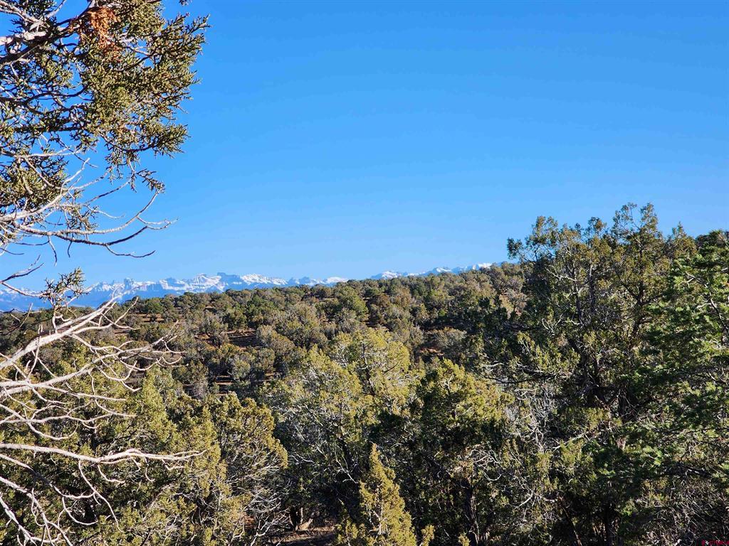 Tbd Happy Canyon Road Montrose CO 81401