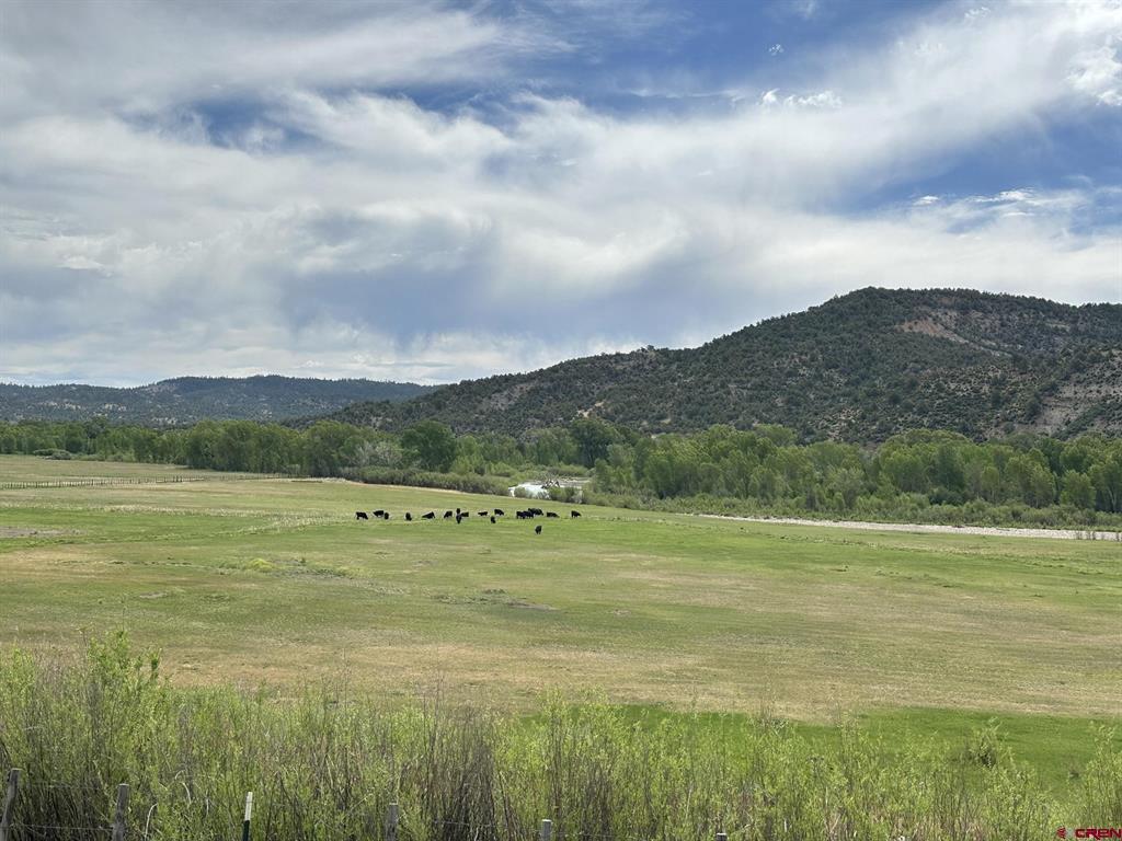 Arboles CO, X Usfs Road 613