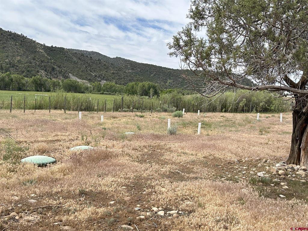 X Usfs Road 613 Arboles CO 81147