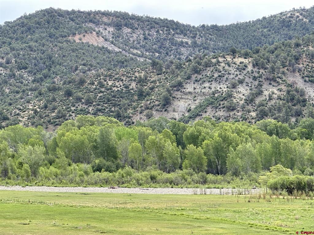 X Usfs Road 613 Arboles CO 81147