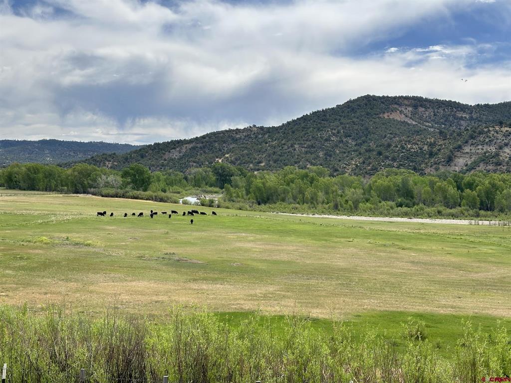 X Usfs Road 613 Arboles CO 81147
