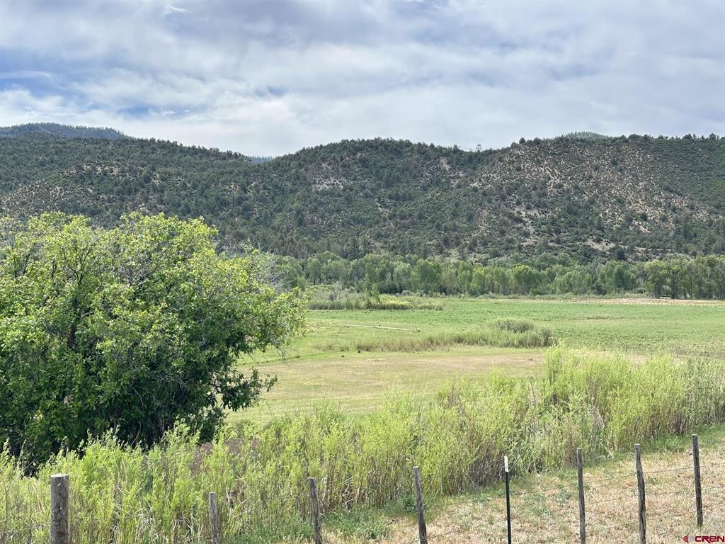 X Usfs Road 613 Arboles CO 81147