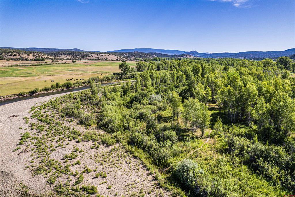 X Usfs Road 613 Arboles CO 81147