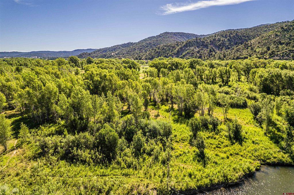 X Usfs Road 613 Arboles CO 81147