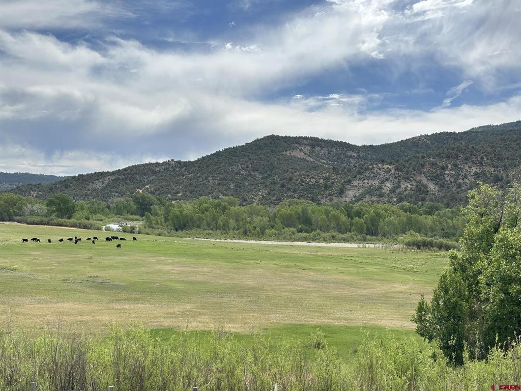X Usfs Road 613 Arboles CO 81147