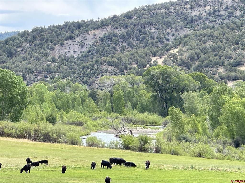X Usfs Road 613 Arboles CO 81147