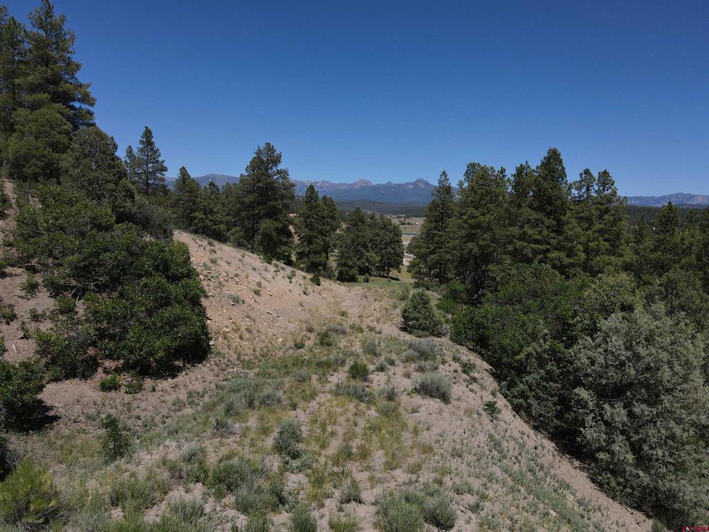 Pagosa Springs CO, 361 Chamisa
