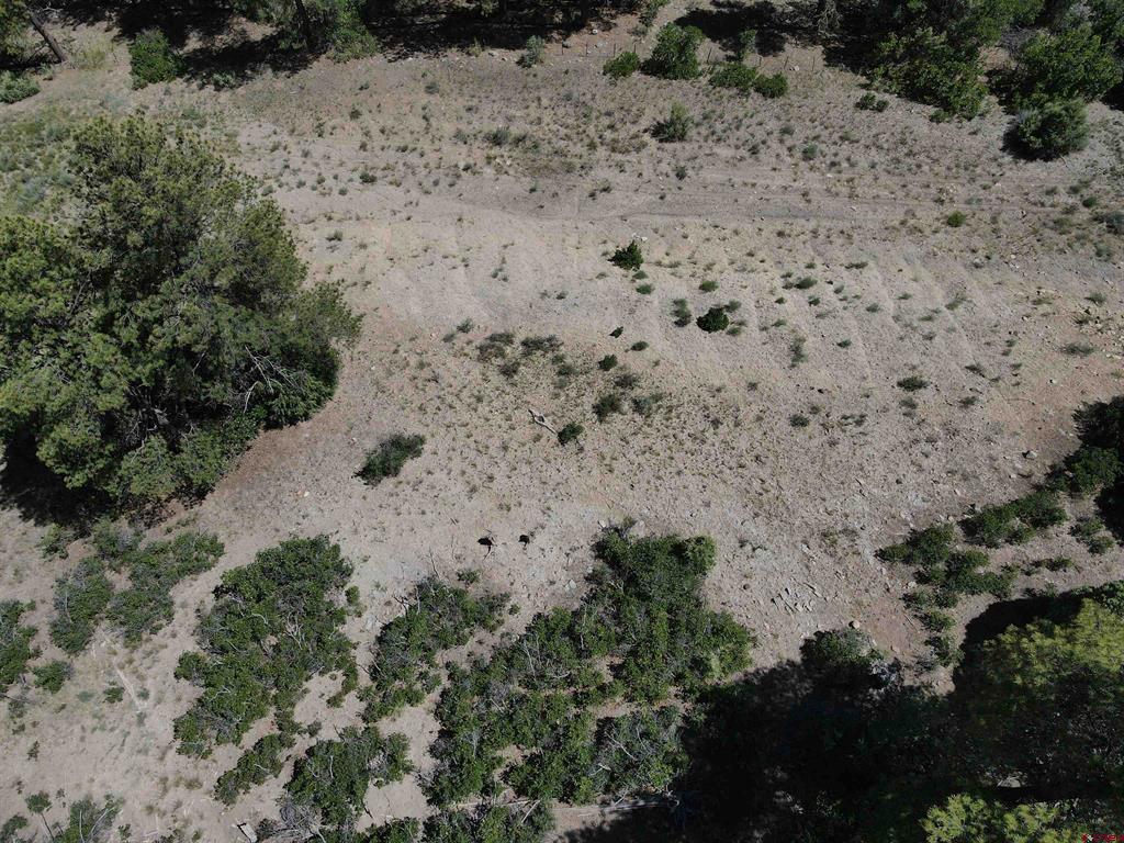 361 Chamisa Place Pagosa Springs CO 81147