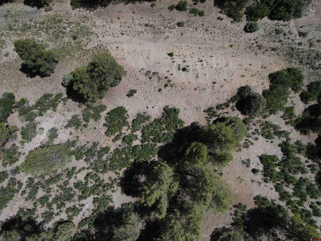 361 Chamisa Place Pagosa Springs CO 81147