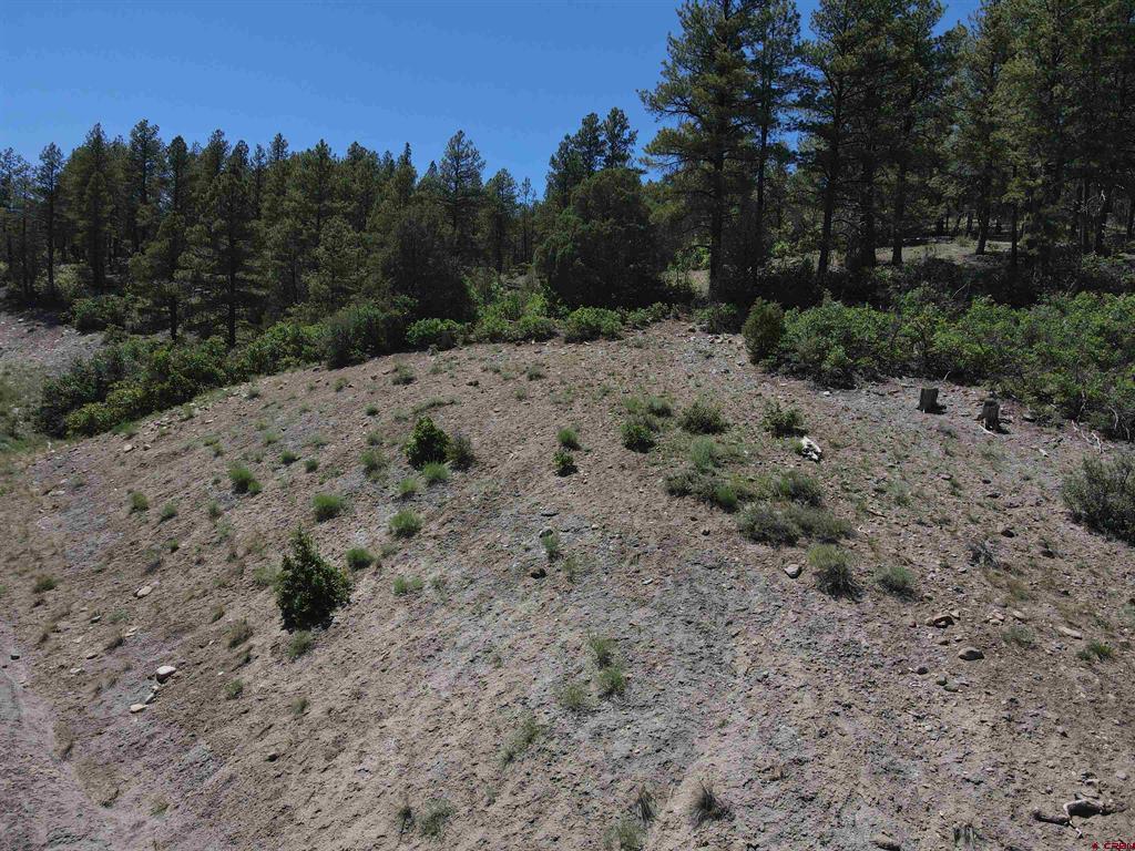 361 Chamisa Place Pagosa Springs CO 81147