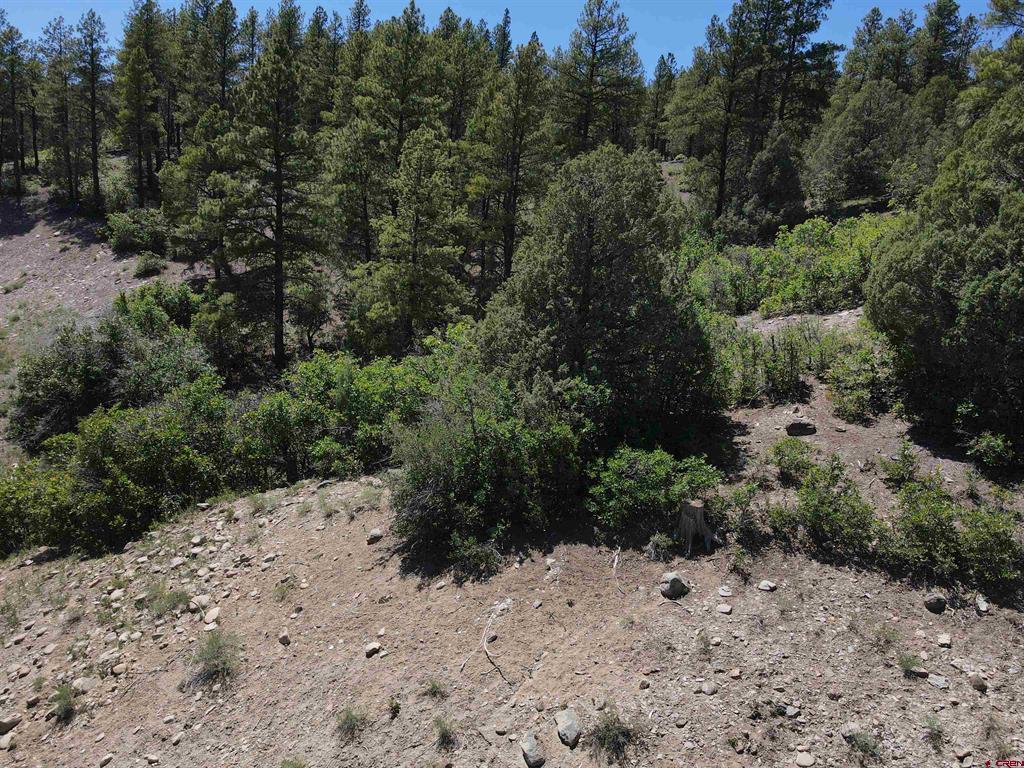 361 Chamisa Place Pagosa Springs CO 81147