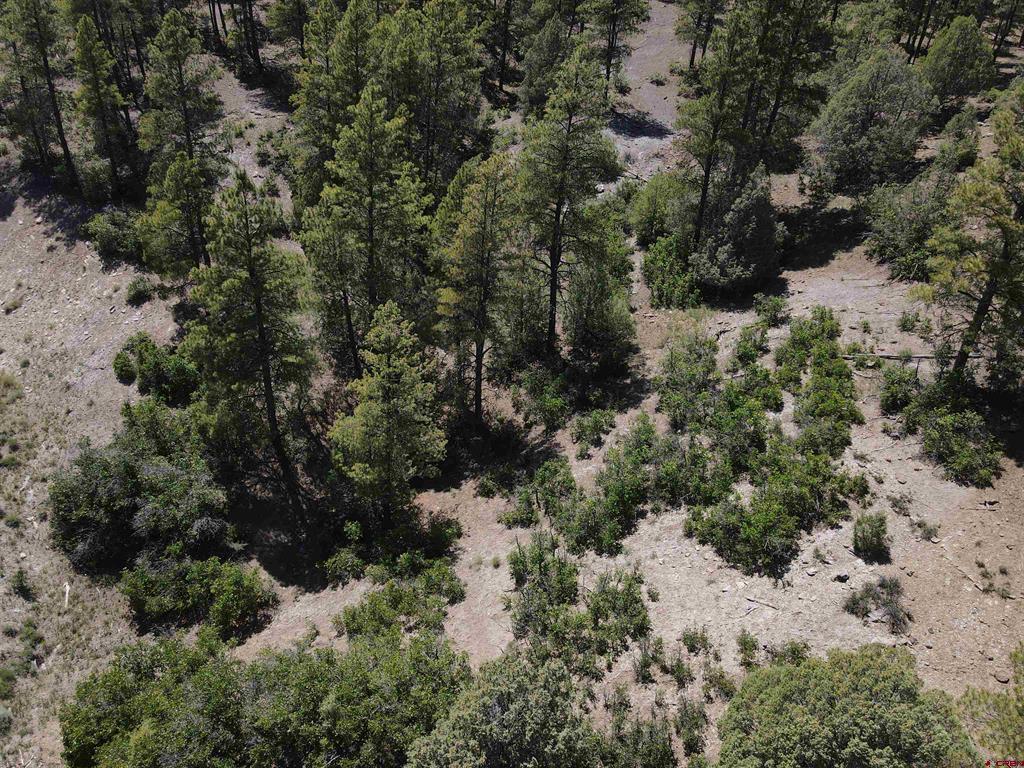 361 Chamisa Place Pagosa Springs CO 81147