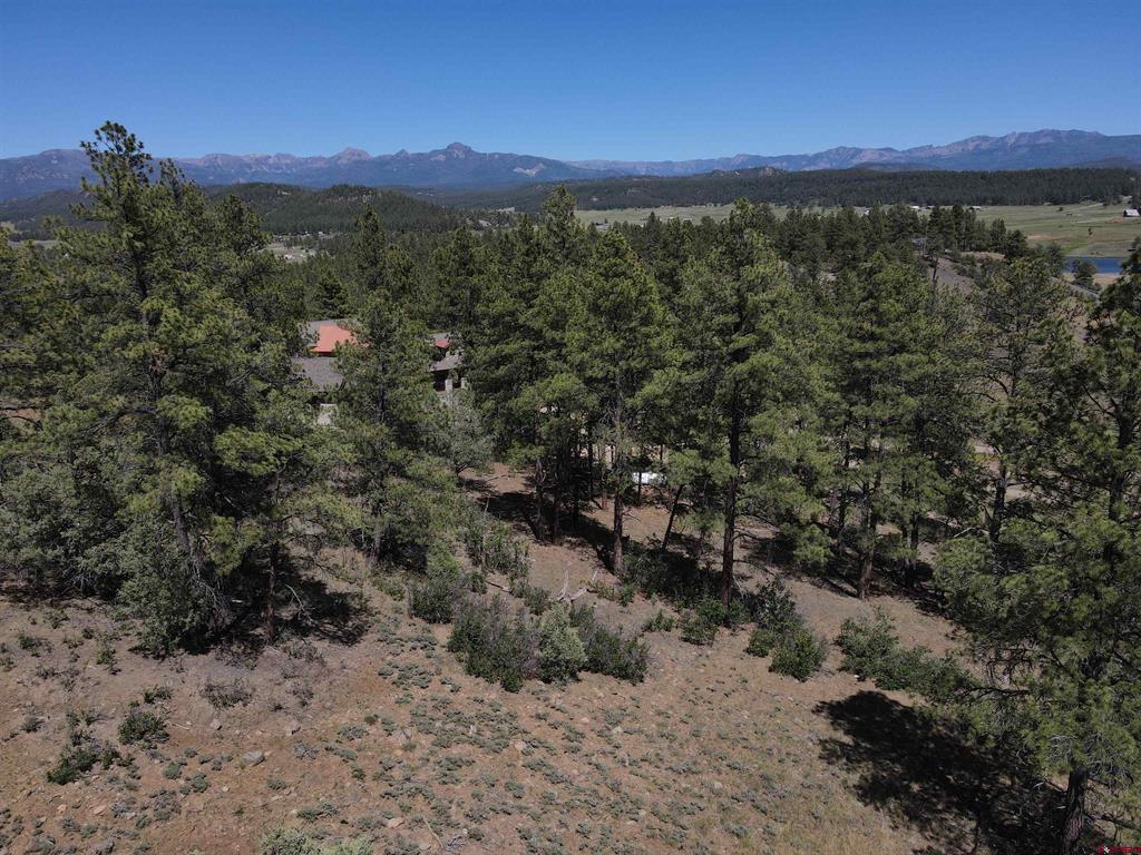 361 Chamisa Place Pagosa Springs CO 81147