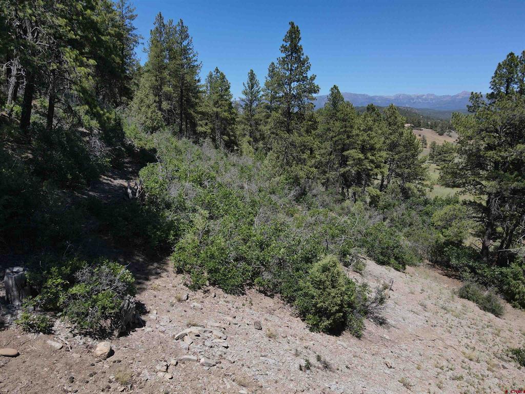361 Chamisa Place Pagosa Springs CO 81147