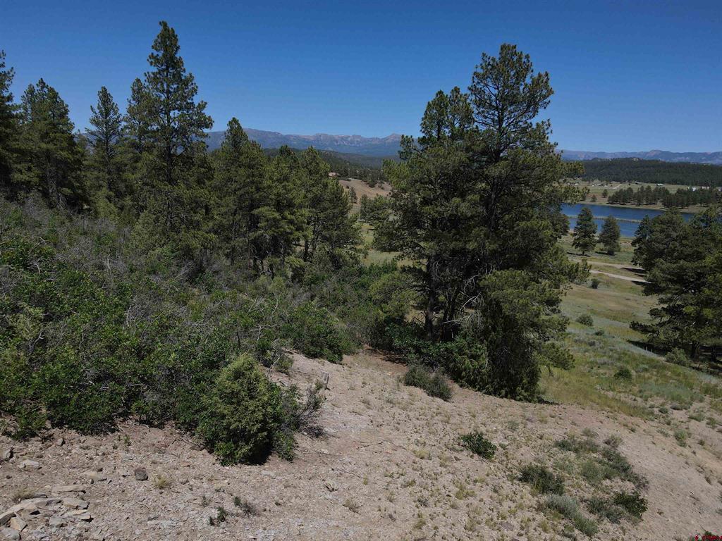 361 Chamisa Place Pagosa Springs CO 81147