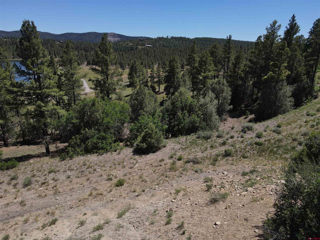 361 Chamisa Place Pagosa Springs CO 81147