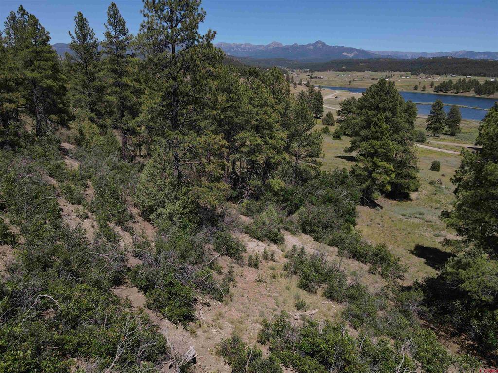 361 Chamisa Place Pagosa Springs CO 81147